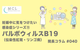 妊娠中に気をつけたい感染症シリーズ⑪：パルボウィルスB19（伝染性紅斑・リンゴ病）　院長コラム#040